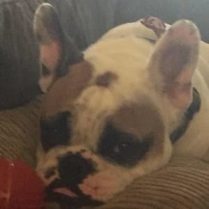 Meet your Posher, Annabella